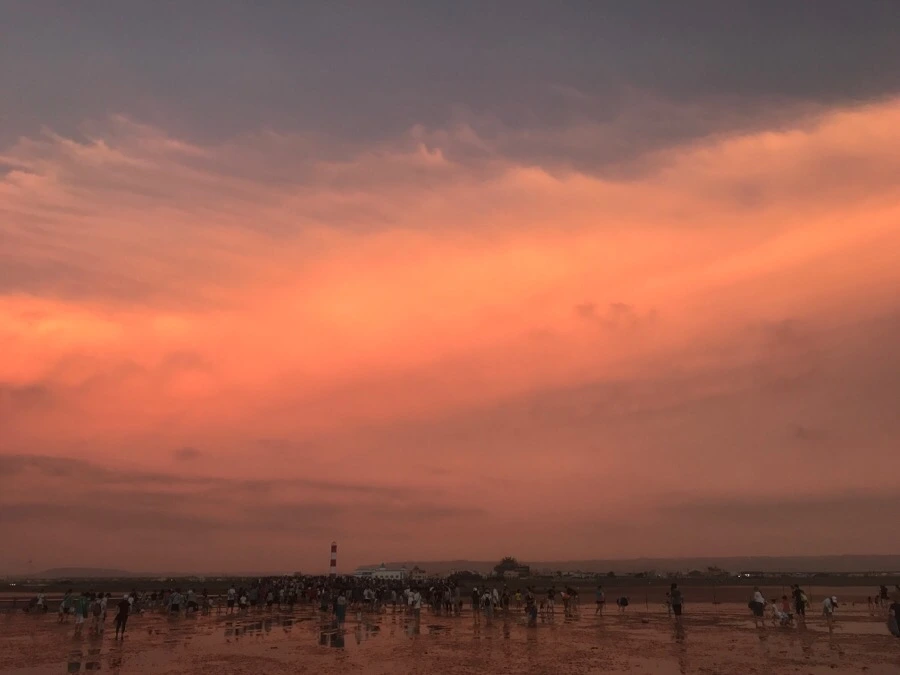 IMG_3342.jpg?type=w966