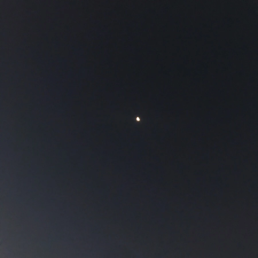 IMG_0354.jpg?type=w966