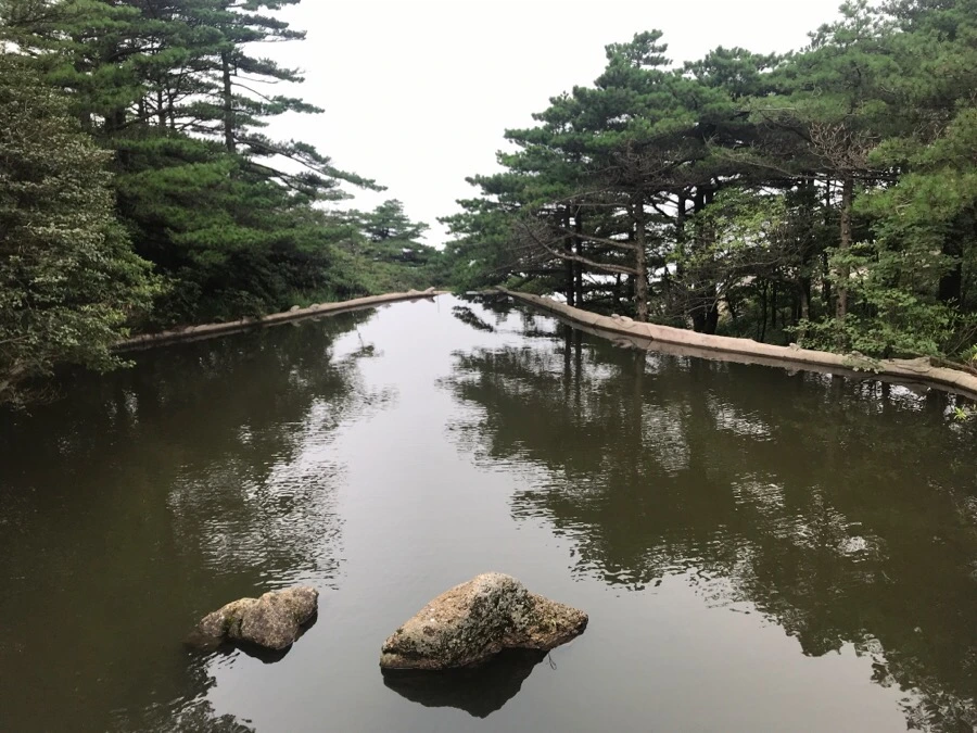 IMG_0806.jpg?type=w966