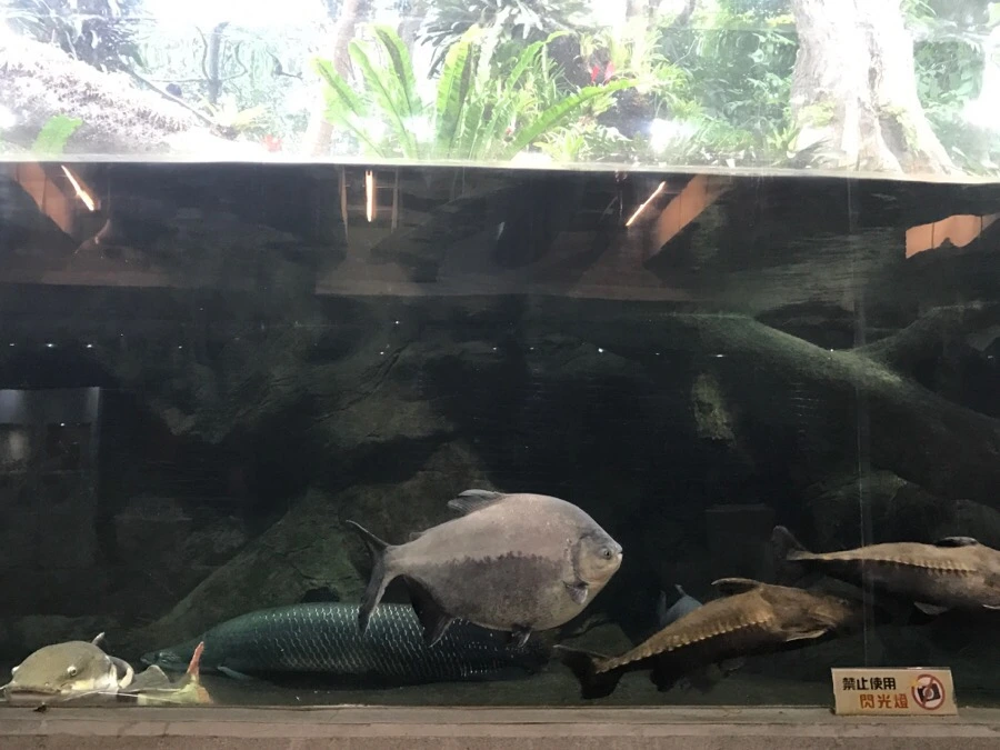 IMG_0394.jpg?type=w966