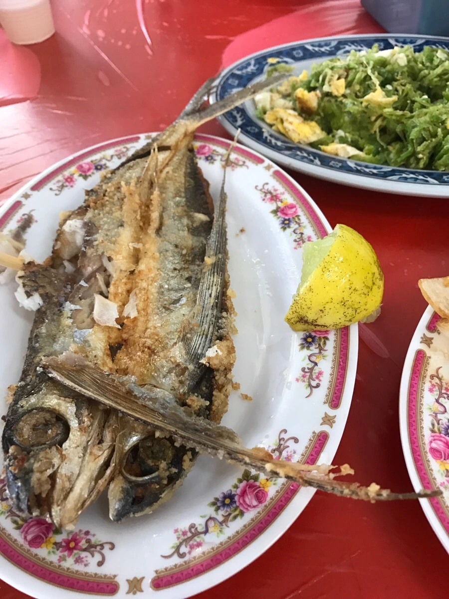 IMG_1776.jpg?type=w966