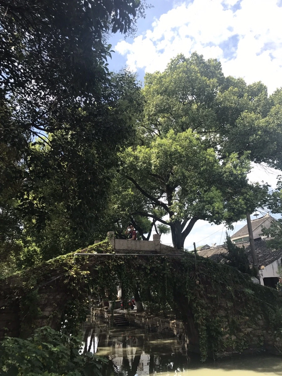 8058142.33551BC44A2234A5F6994EE5C5BBB7C0.17082108.jpg?type=w1