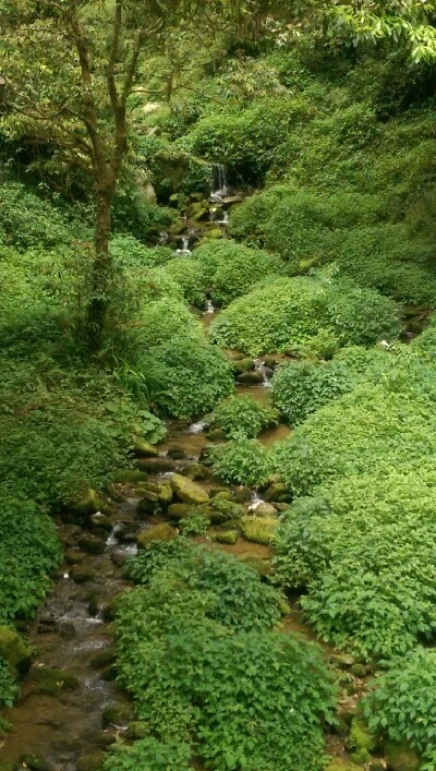 IMAG4941.jpg?type=w773