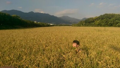 IMAG6240.jpg?type=w773