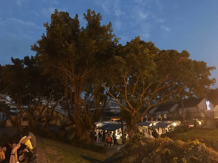 IMG_6412.jpg?type=w966