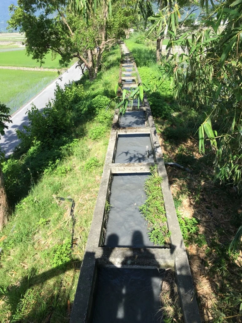 attachImage_1557940690.jpeg?type=w773