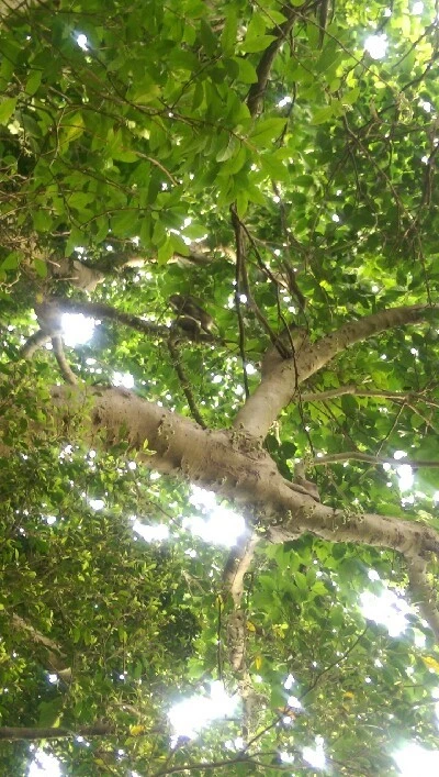 IMAG5989.jpg?type=w773