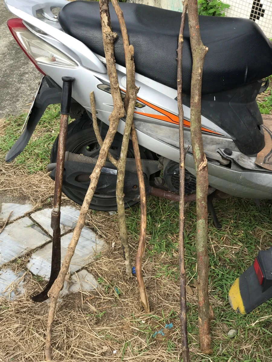 IMG_3623.jpg?type=w966