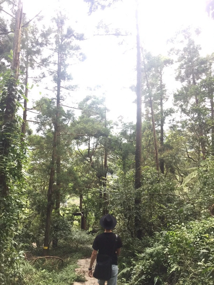 IMG_4203.JPG?type=w966