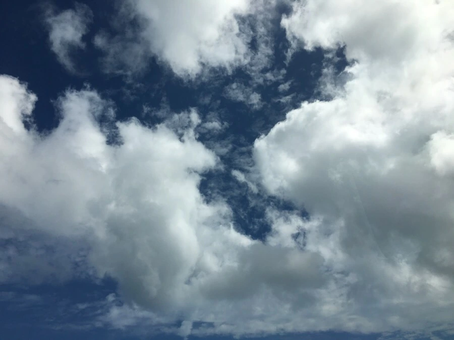 IMG_4958.JPG?type=w966