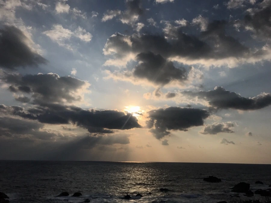 IMG_3854.jpg?type=w966