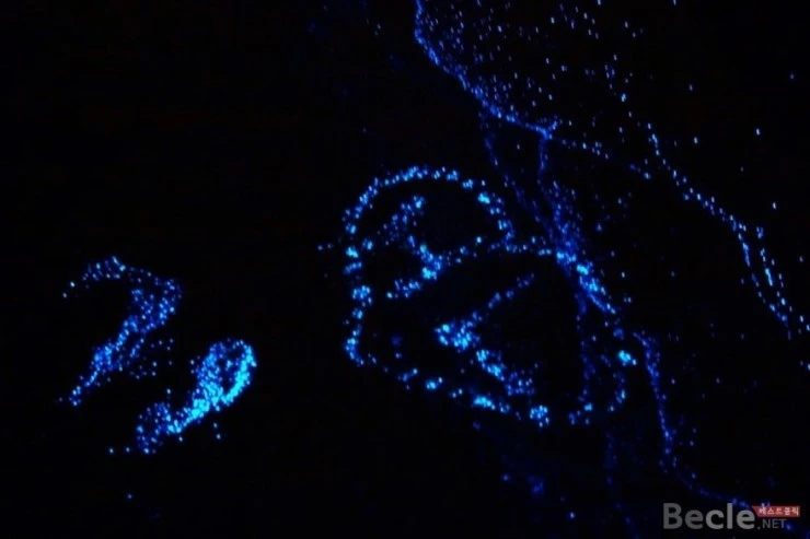 3616d9943ffd9cb4a63194462bb132de.jpeg?type=w966