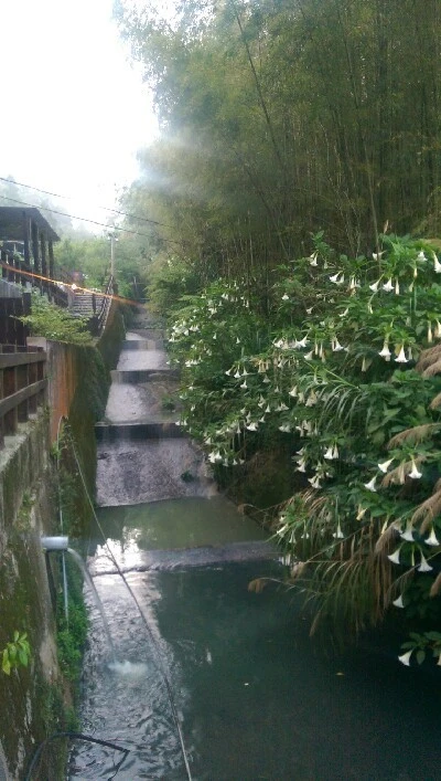 IMAG4828.jpg?type=w773