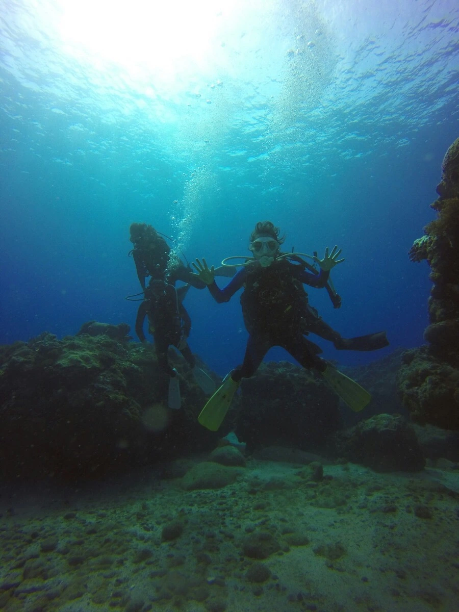 IMG_3591.jpg?type=w966