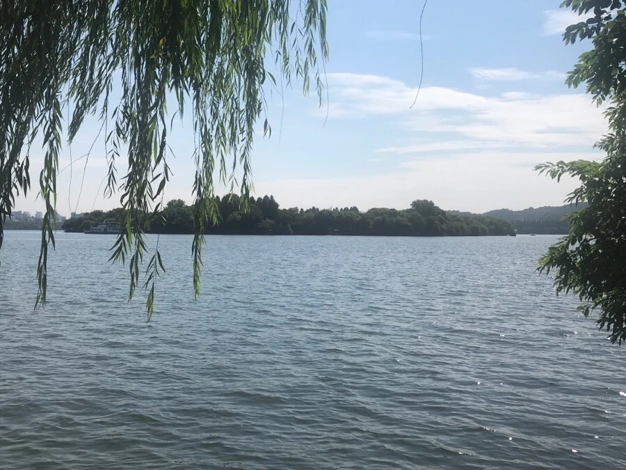 IMG_1171.jpg?type=w1