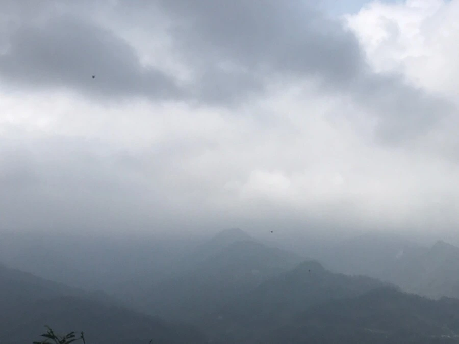 IMG_1066.jpg?type=w966