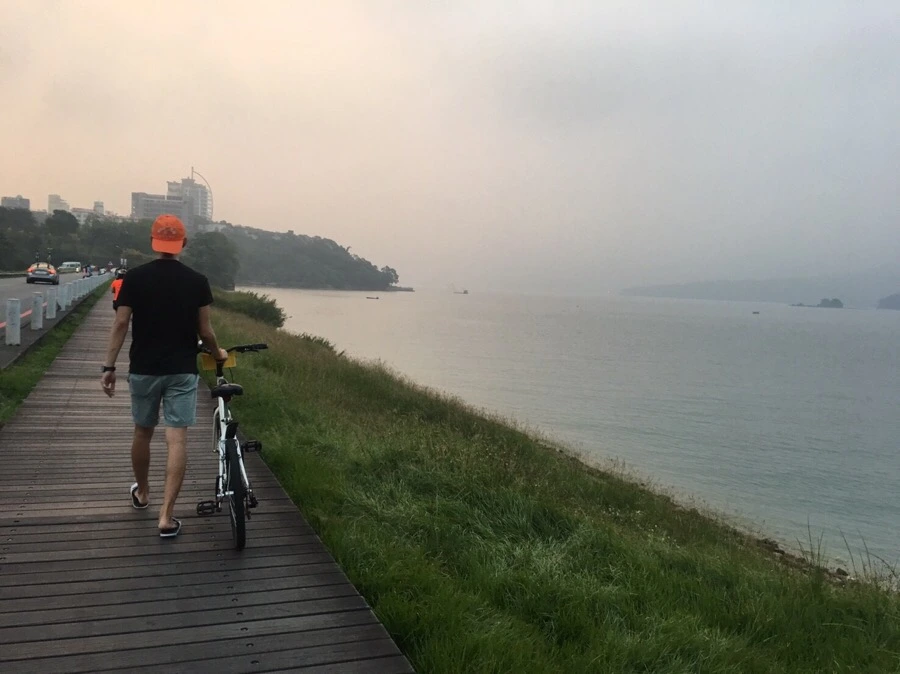 IMG_3488.jpg?type=w966