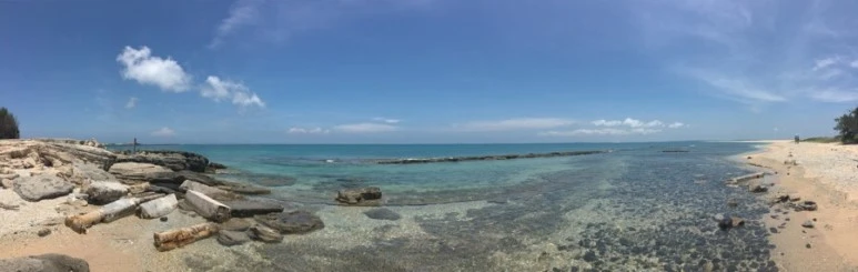 attachImage_1332614037.jpeg?type=w773