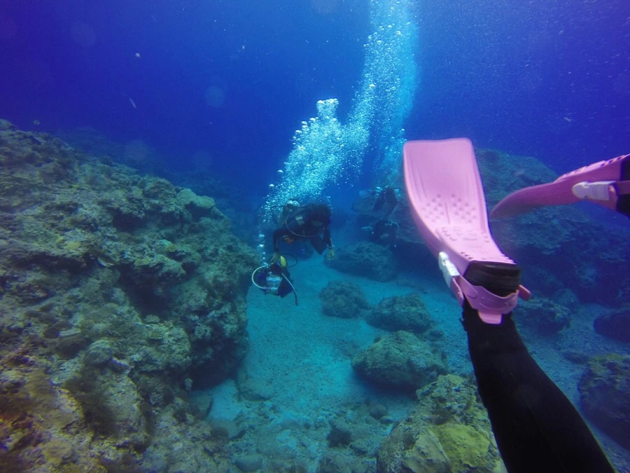 IMG_3579.jpg?type=w966