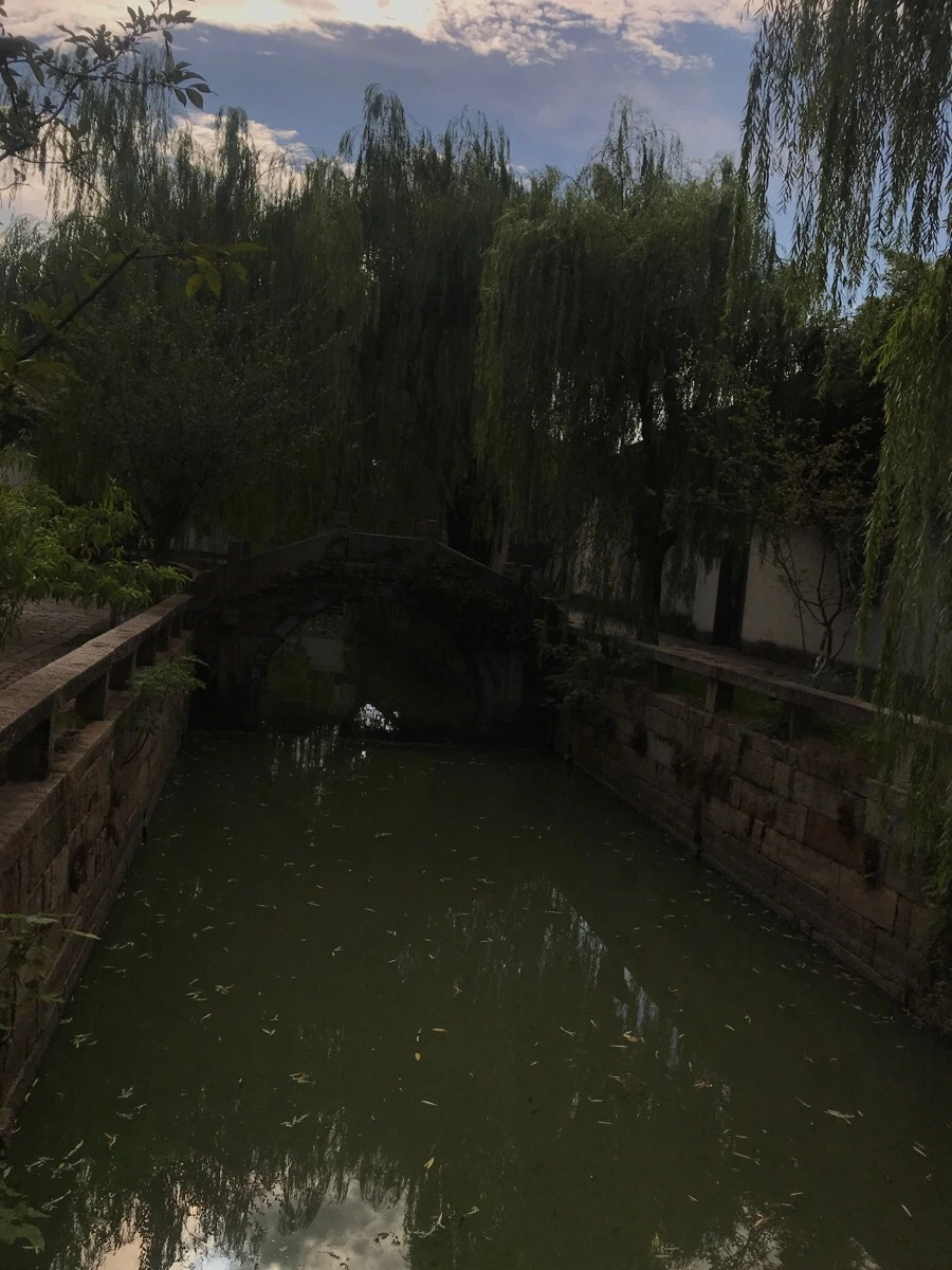 IMG_1484.jpg?type=w1