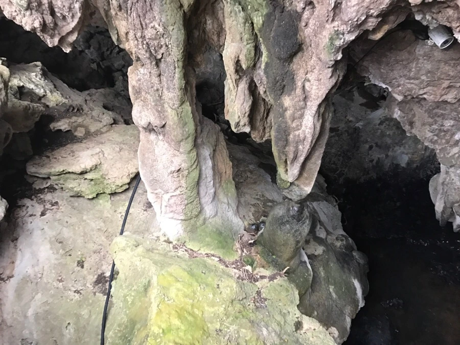 IMG_1634.jpg?type=w966