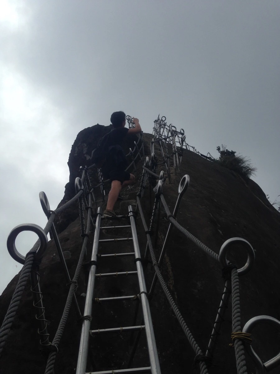 IMG_6952.jpg?type=w966