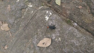 IMAG5985.jpg?type=w773