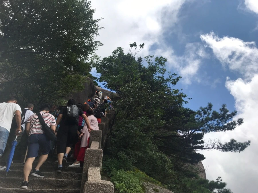 IMG_0852.jpg?type=w966