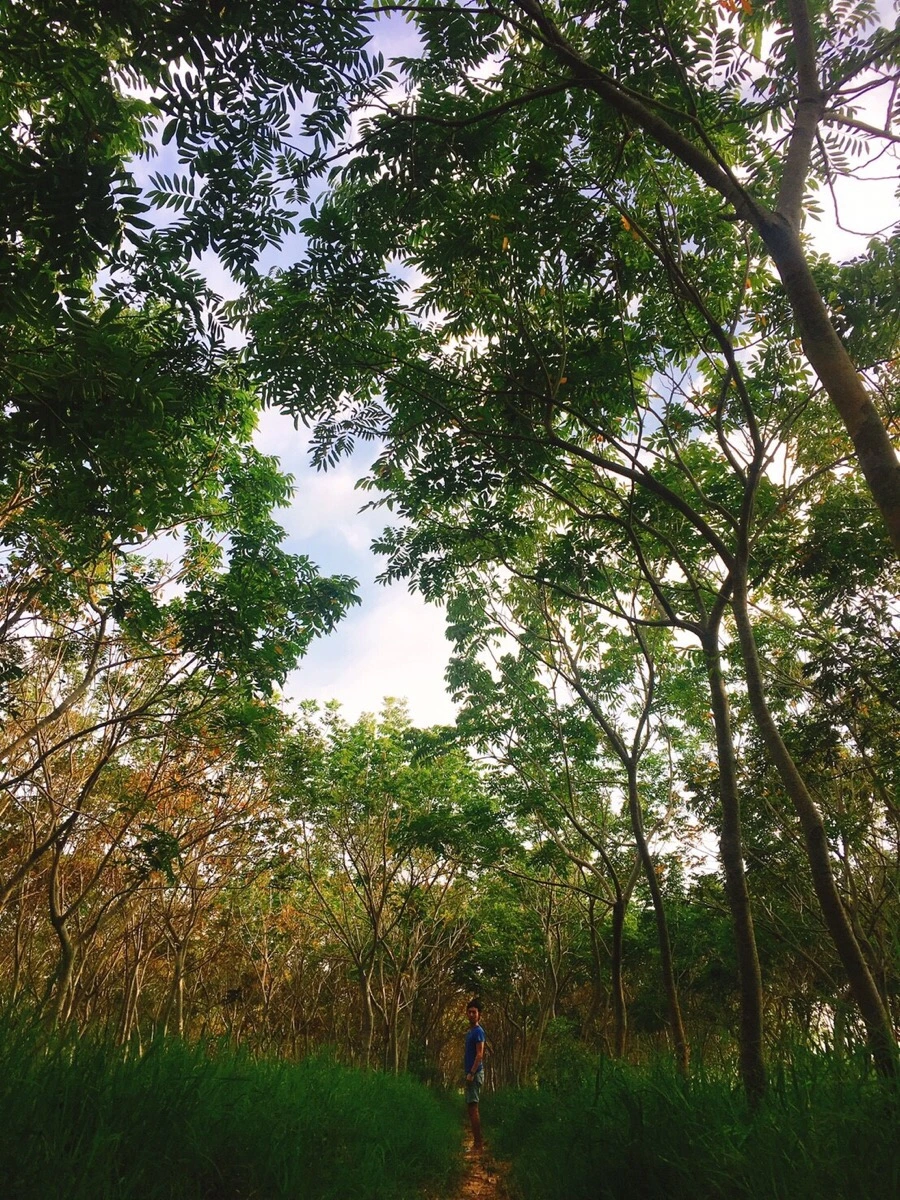 IMG_3477.jpg?type=w966