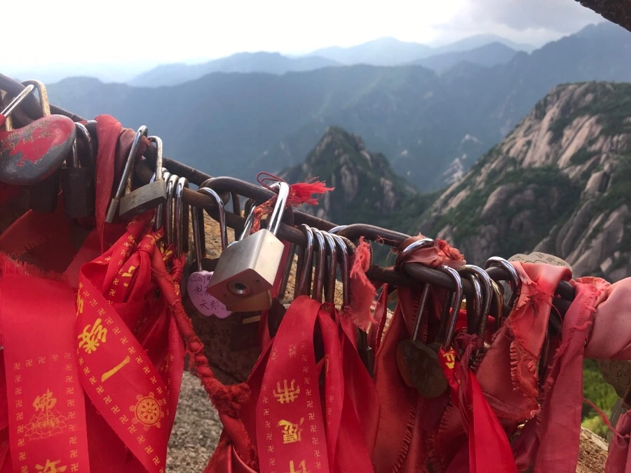 IMG_0920.jpg?type=w966