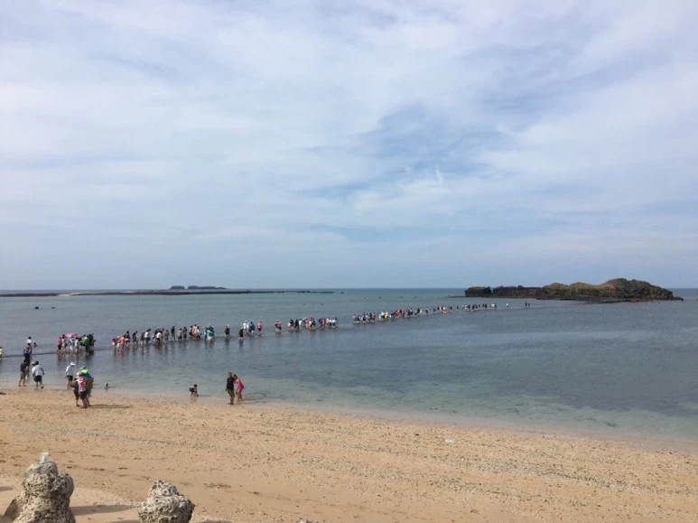 attachImage_1708097750.jpeg?type=w773