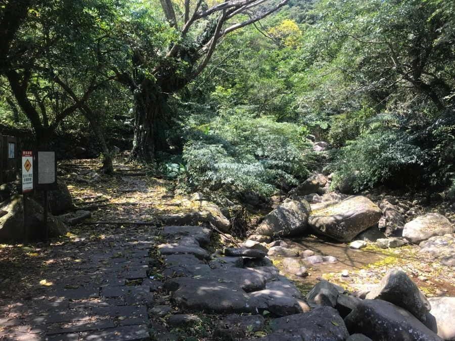 IMG_0107.jpg?type=w966