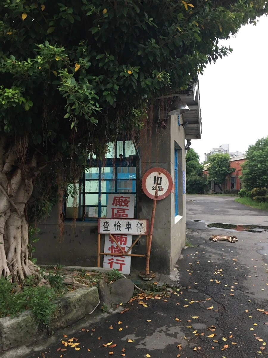 attachImage_3287320369.jpeg?type=w966