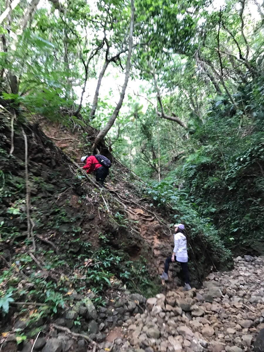 IMG_3653.jpg?type=w966