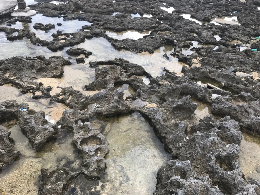 IMG_1554.jpg?type=w966