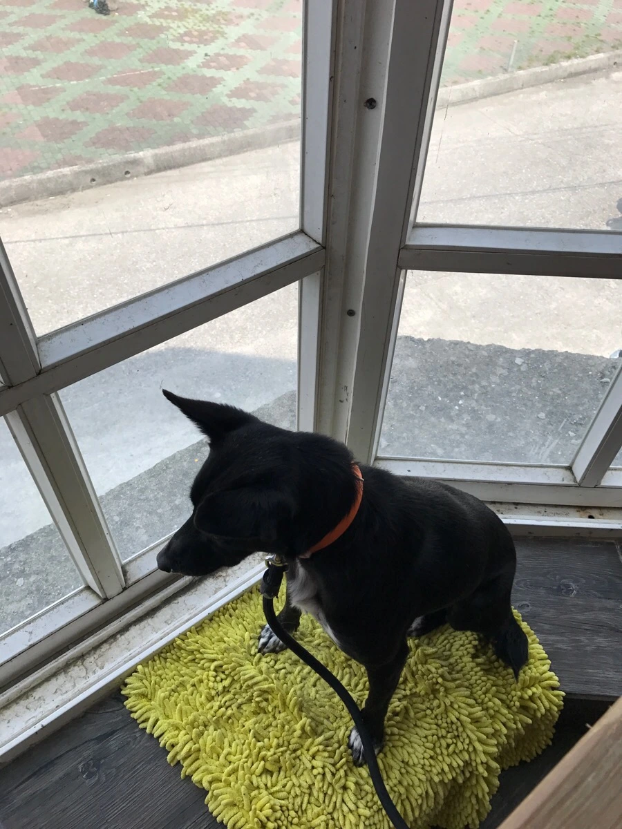 IMG_3490.jpg?type=w966