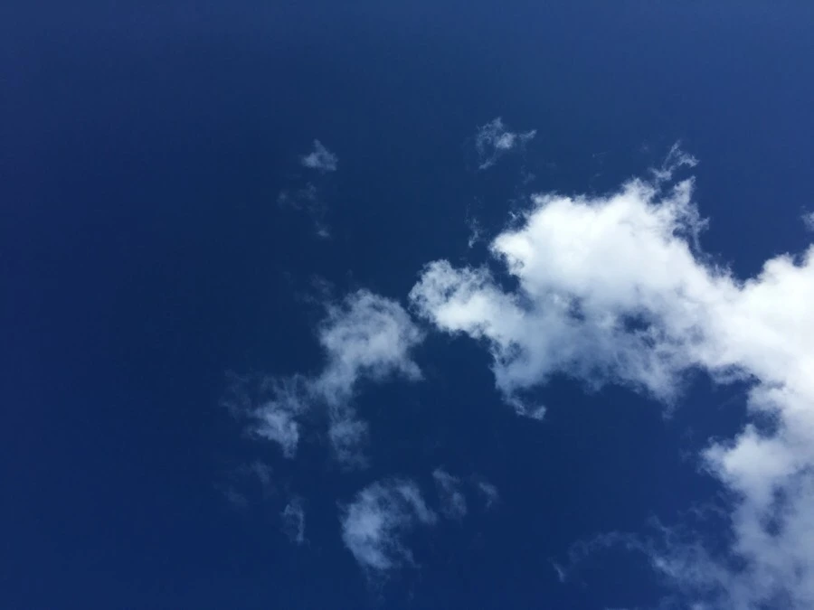 attachImage_2244216075.jpeg?type=w966