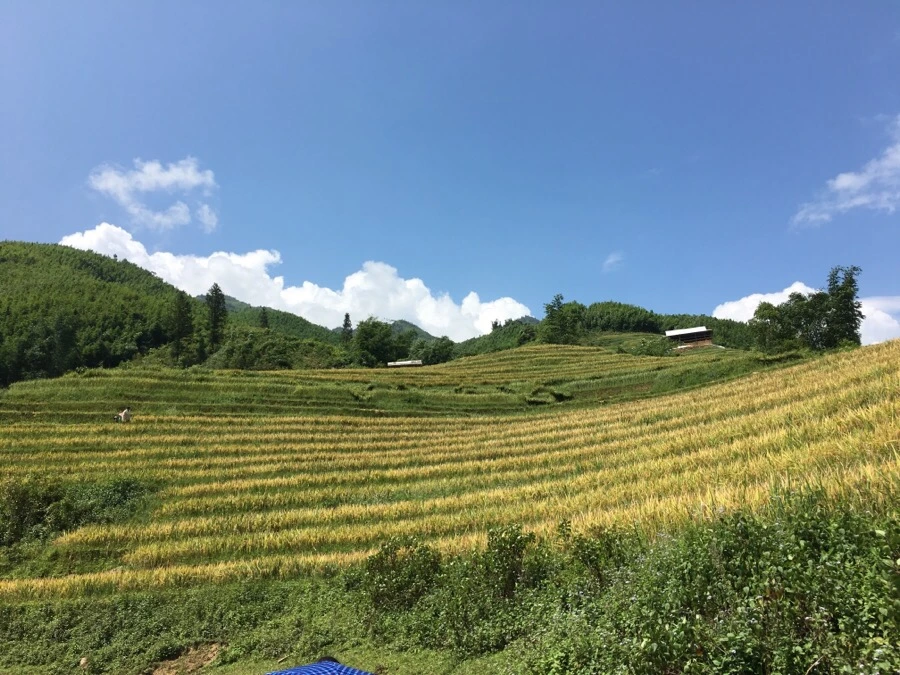 IMG_3549.JPG?type=w1