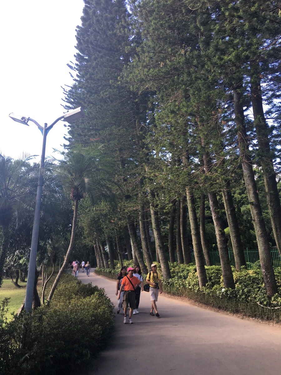 attachImage_3420989141.jpeg?type=w966