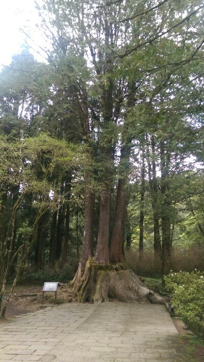 IMAG4913.jpg?type=w773