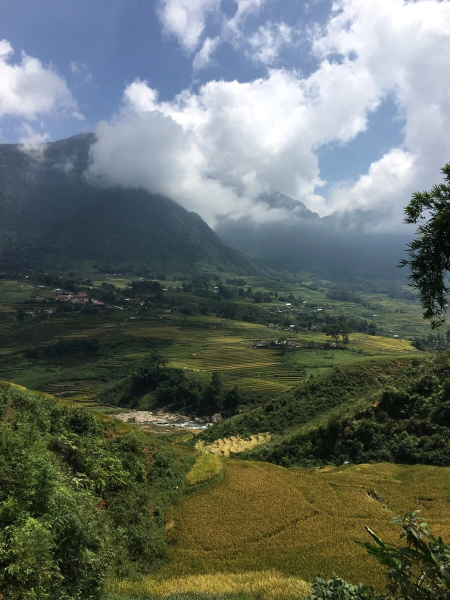 IMG_3552.JPG?type=w1