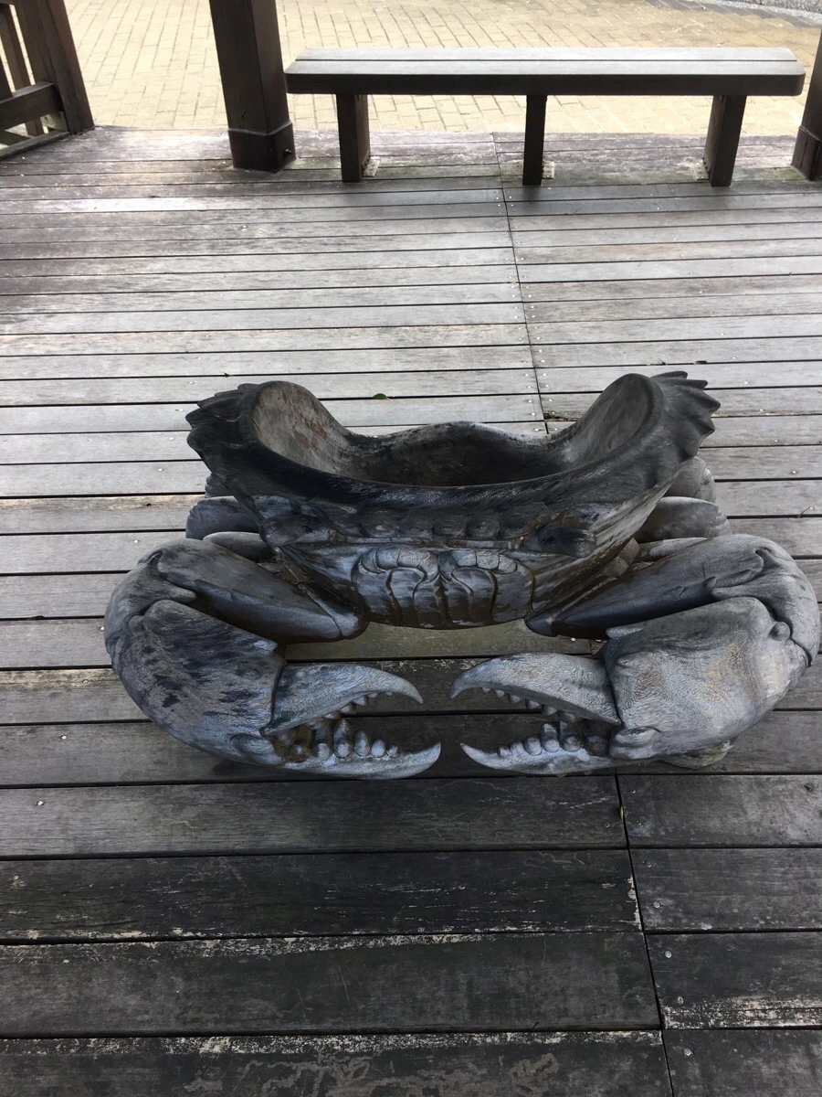 IMG_4989.JPG?type=w966