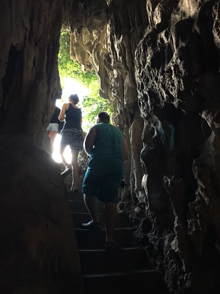 IMG_3231.JPG?type=w1