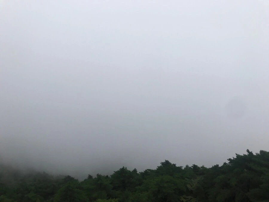 IMG_0773.jpg?type=w966