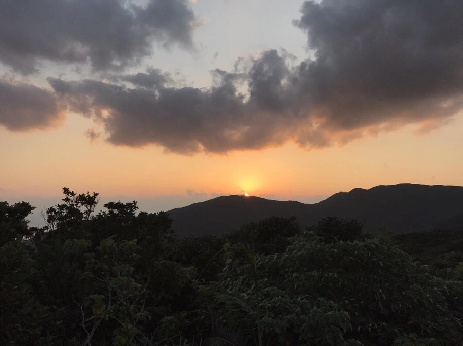 IMG_3990.jpg?type=w966