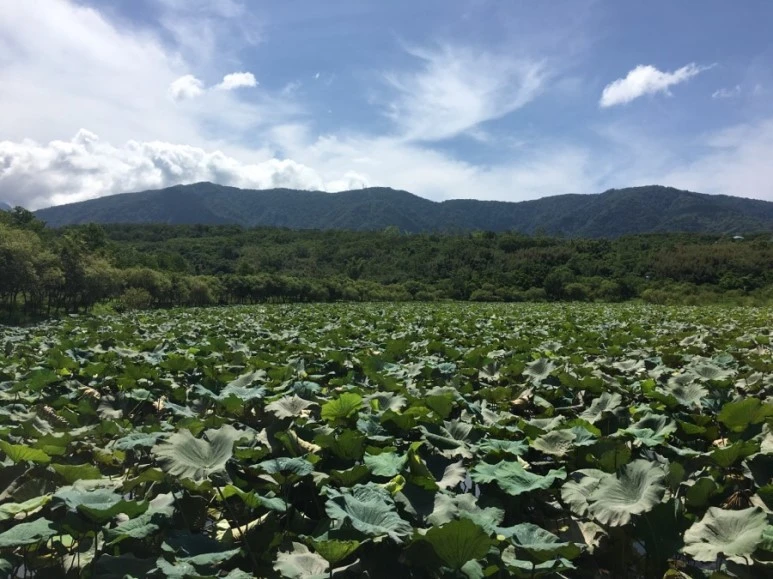 attachImage_2012615321.jpeg?type=w773