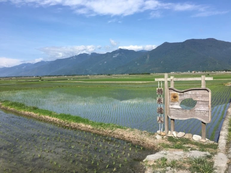 attachImage_2194179418.jpeg?type=w773