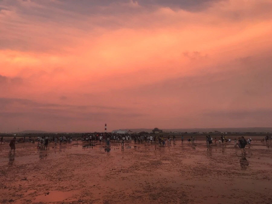 IMG_3343.jpg?type=w966