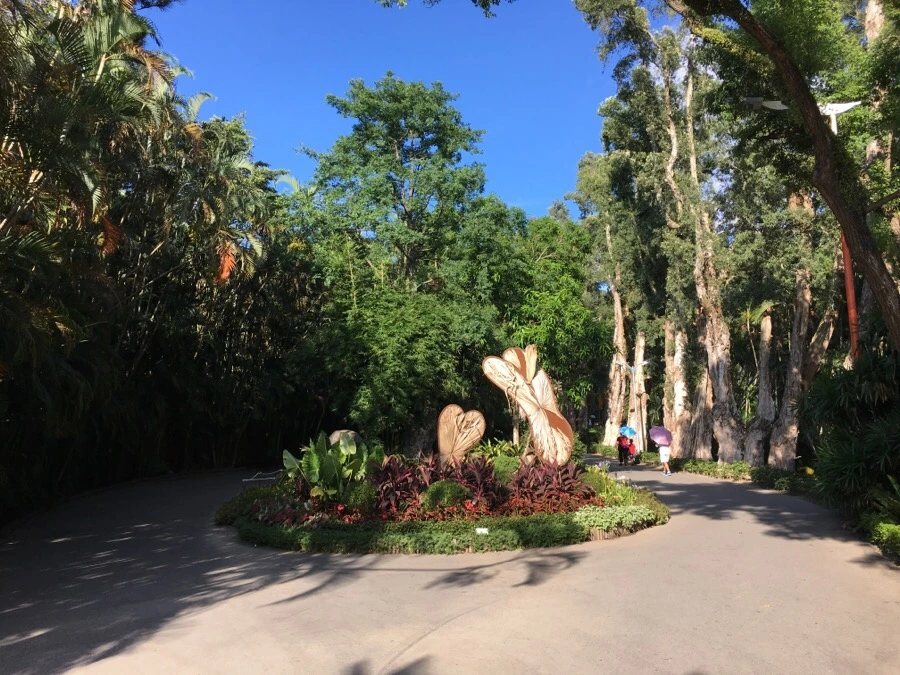 attachImage_3507732847.jpeg?type=w966