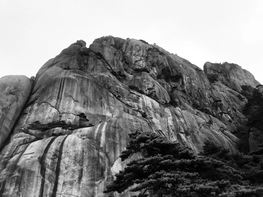 IMG_0866.jpg?type=w966